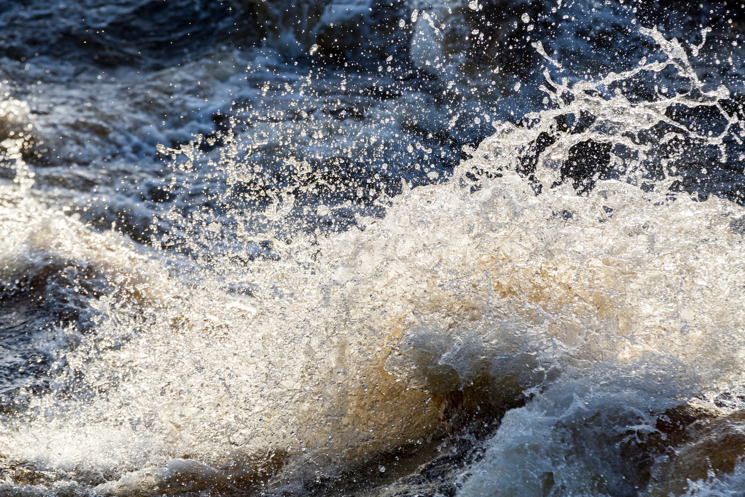 pärske_20160503-_MG_5814_markojunttila_2023