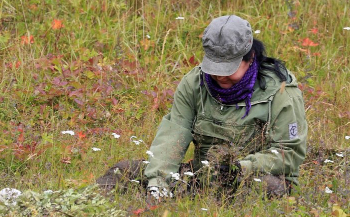 veden-voimalla_maria-pikkupirtti-apilakirjokaariainen_700x435_b-700×9999