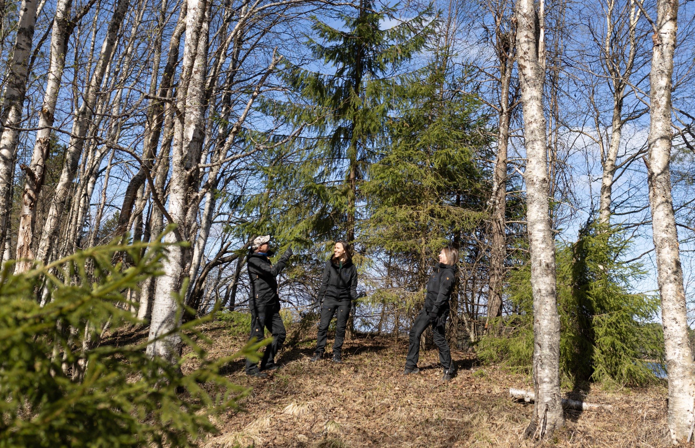 kalkonniemi yleisotilaisuus