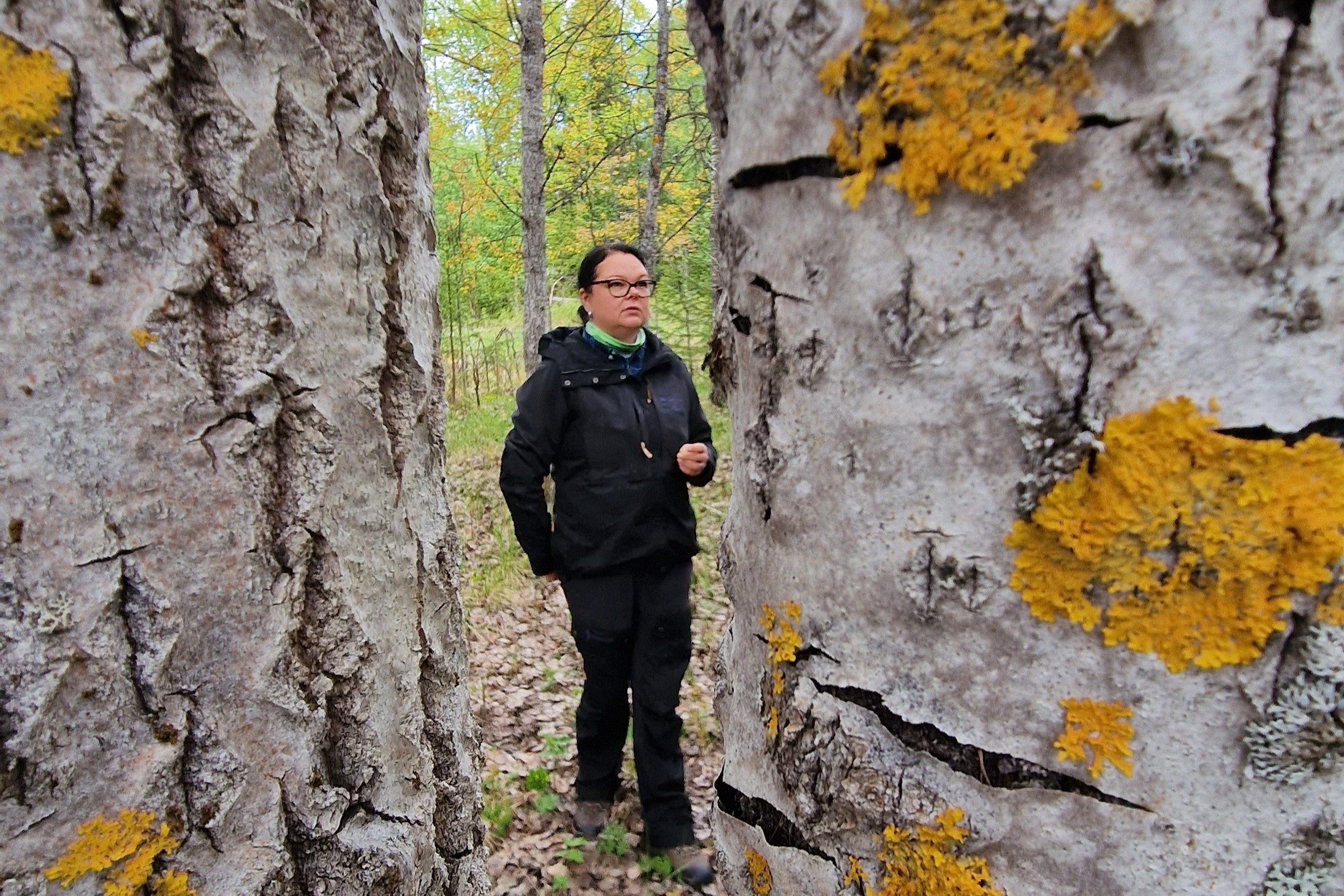 lumo maria pikkupirtti